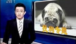 呼死狗最新爆料,揭秘网络骚扰黑幕
