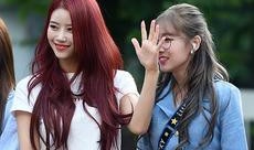 韩娱老团爆料视频,独家爆料视频深度解析