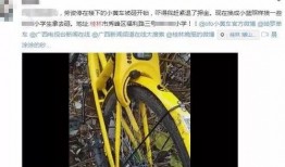 小黄车爆料视频,行业乱象与整改措施大曝光
