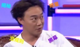 娱乐圈爆料名人有哪些,揭秘明星背后的故事