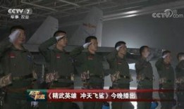 飞行员技能爆料视频,视频爆料背后的飞行奥秘
