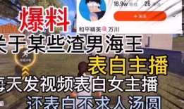 哈尔滨渣男爆料视频播放,揭秘情感骗局背后的真相