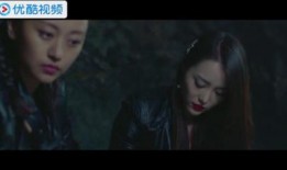 女特工全集在线观看,揭秘神秘任务背后的惊心动魄