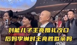 刘能儿子王亮爆料视频播放,揭秘背后真相