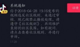 最新抖音爆料简介大全,揭秘热门短视频背后的故事与幕后花絮