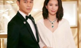428娱乐圈爆料,揭秘明星幕后故事与精彩瞬间
