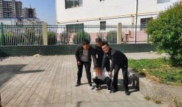 陇南市都市爆料案件最新,最新案件追踪，真相即将揭晓！”