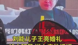 刘能前妻爆料视频,揭秘昔日夫妻恩怨情仇