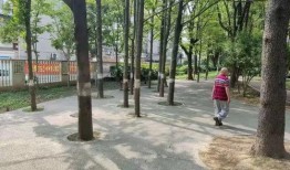 两千粉丝爆料视频怎么做,内容深度解析与幕后故事