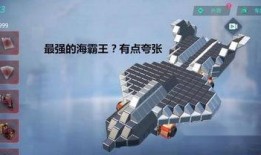 正机之神模型爆料视频完整版,深度解析爆料视频完整版核心内容