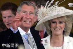 查尔斯爆料视频完整版,惊人内幕与真相大白