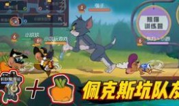 猫鼠共研服最新爆料,揭秘游戏内神秘机制与角色互动