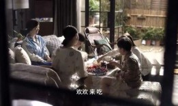 吃瓜教育视频免费观看,开启知识盛宴之旅