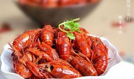 爆料龙虾做法视频大全教程,视频教程大全解析