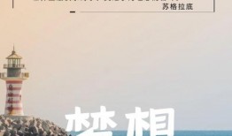 働在线观看,働在日本的独特职场体验