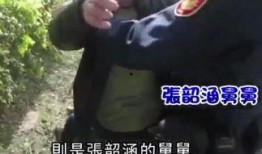 最新舅舅爆料视频,最新爆料视频深度解析
