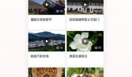 发热点爆料视频下载安装,揭秘热点视频背后的下载安装奥秘