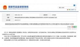 辉瑞最新爆料,揭秘疫苗研发背后的真相与挑战