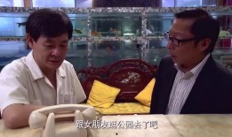 正阳门下手机在线观看,穿越时空的京味传奇