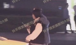 刘大锤爆料视频大全集,揭秘娱乐圈幕后真相