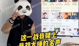 刘大锤爆料视频大全集,揭秘娱乐圈幕后真相