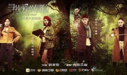 在线观看寻找爱的冒险,一场跨越屏幕的浪漫冒险