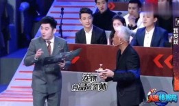 天涯爆料汪涵张宇视频,揭秘幕后精彩瞬间