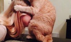 蟑螂恶霸橘猫工业爆料视频,蟑螂恶霸橘猫的惊悚爆料视频全解析