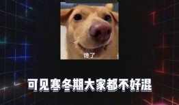 娱乐吃瓜壁纸图,吃瓜群众眼中的明星幕后故事