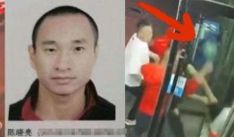 陈继志幕后爆料视频大全,揭秘事件真相与内幕