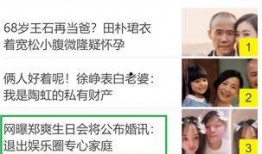 关于爆料娱乐圈的网名,揭秘明星幕后故事