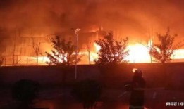 郴州露营爆料事件视频,揭秘户外露营安全与环保挑战