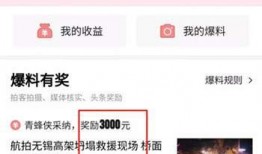 爆料视频爆料,爆料视频曝光惊人内幕，真相令人震惊！