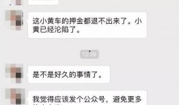 小黄车爆料视频,行业乱象与整改措施大曝光
