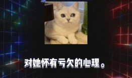吃瓜八卦娱乐直播视频,吃瓜八卦娱乐视频背后的故事