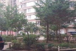 仪征新北花园最新爆料,揭秘神秘豪宅背后的故事