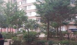 仪征新北花园最新爆料,揭秘神秘豪宅背后的故事