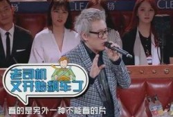 天涯爆料汪涵张宇视频,揭秘幕后精彩瞬间