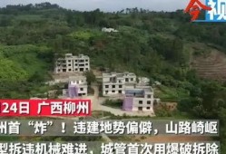 莲花县最新爆料新闻,揭秘神秘事件背后的真相