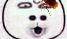 蟑螂恶霸橘猫工业爆料视频,蟑螂恶霸橘猫的惊悚爆料视频全解析