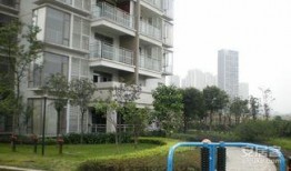 重庆花园爆料视频,揭秘神秘视频背后的惊人真相