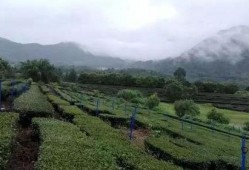 韶关乐昌爆料案件最新进展,疑点重重，警方深入调查