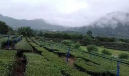 韶关乐昌爆料案件最新进展,疑点重重，警方深入调查