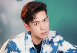 李现最新爆料八卦,揭秘娱乐圈不为人知的幕后故事