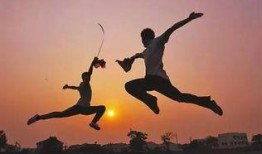 武术植物爆料视频,古老传承中的神秘力量