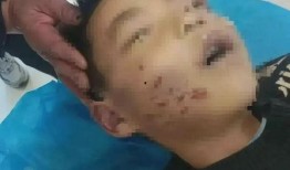 章鱼哥前妻爆料视频,揭秘婚姻内幕与情感纠葛
