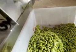 爆料剥毛豆视频大全